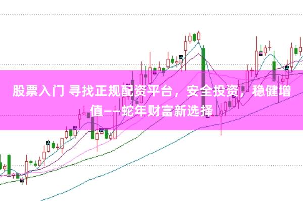 股票入门 寻找正规配资平台，安全投资，稳健增值——蛇年财富新选择