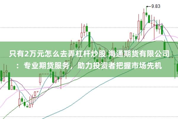 只有2万元怎么去弄杠杆炒股 海通期货有限公司：专业期货服务，助力投资者把握市场先机