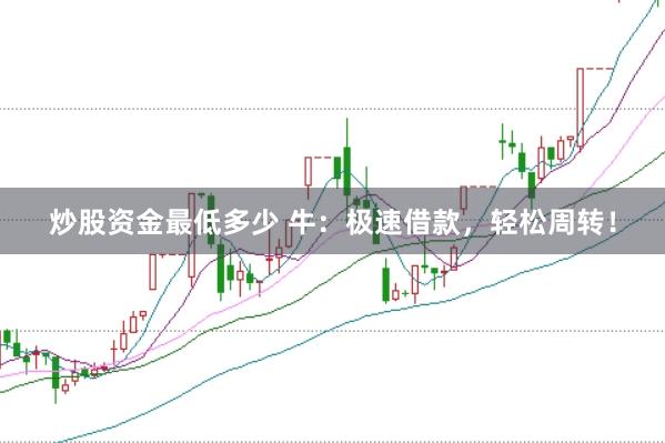 炒股资金最低多少 牛：极速借款，轻松周转！