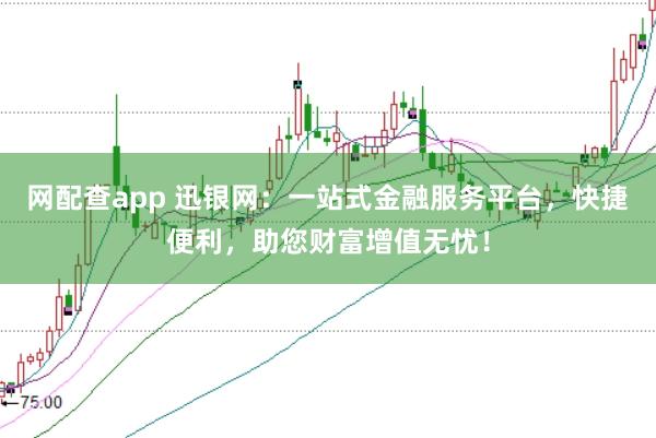 网配查app 迅银网：一站式金融服务平台，快捷便利，助您财富增值无忧！