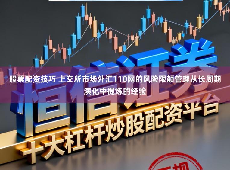 股票配资技巧 上交所市场外汇110网的风险限额管理从长周期演化中提炼的经验